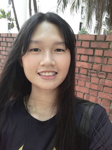 Personal Secondary Chinese Language Teacher