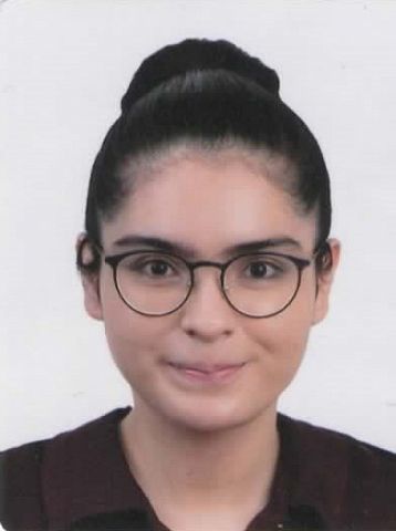 Private Secondary Maths Tutor