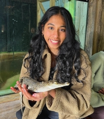 Private E Mathematics Home Tutor