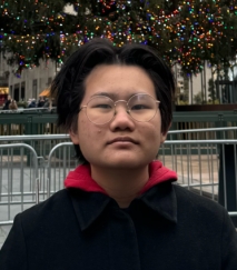 Experienced Private History Tuition Teacher