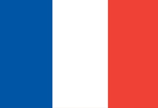 french private tuition