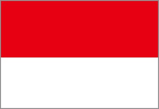 Private Indonesian tutors in Singapore