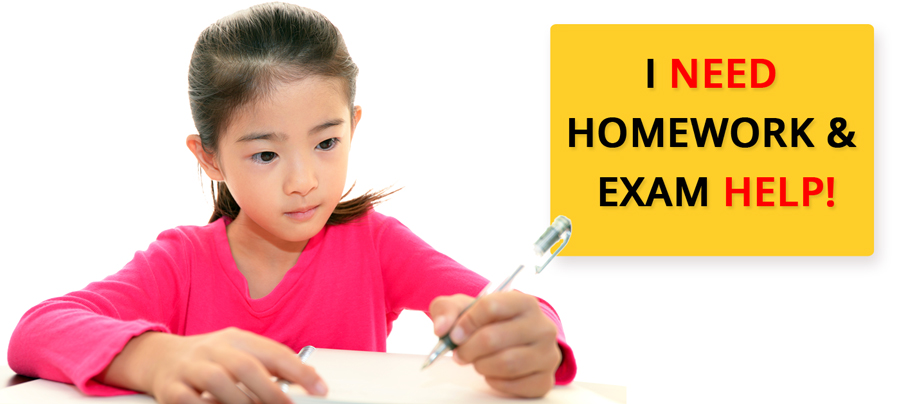 home tuition for primary school
